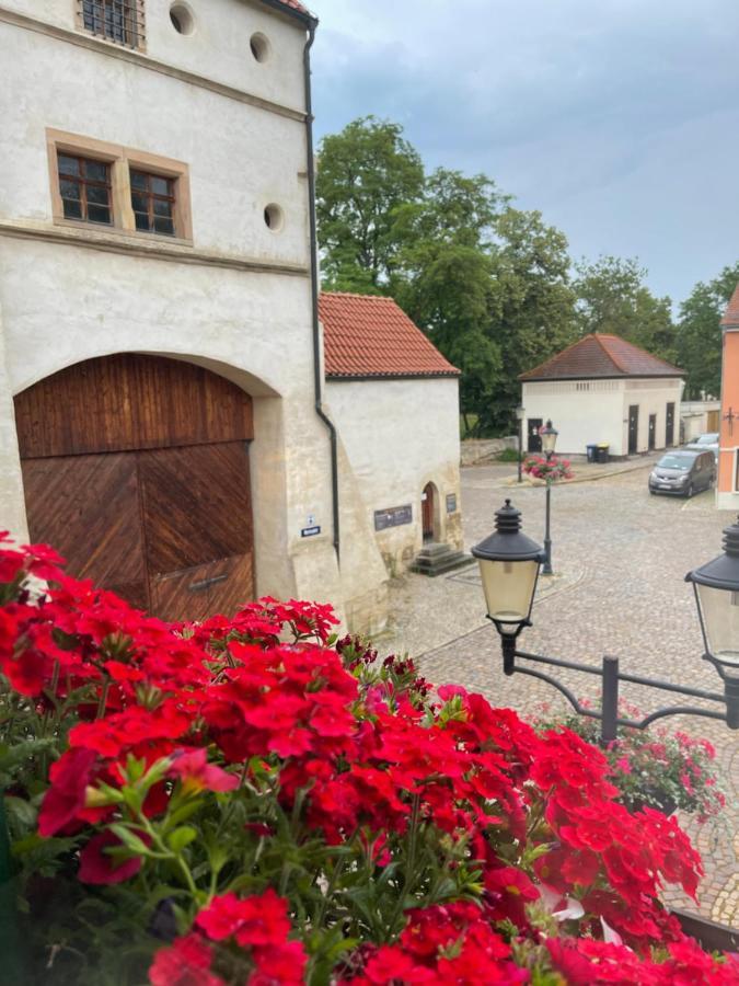 Pension Alt Naumburg Naumburg  Esterno foto